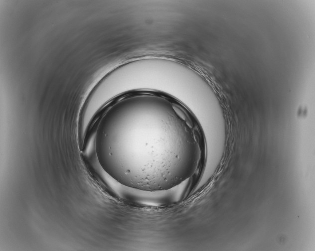 X0000091960148200709131234