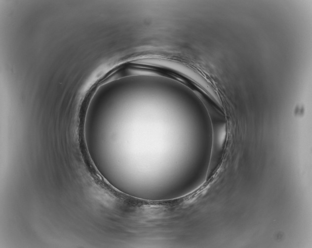 X0000091960150200709131234