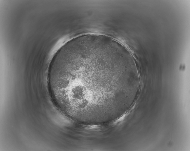 X0000091960151200709131234