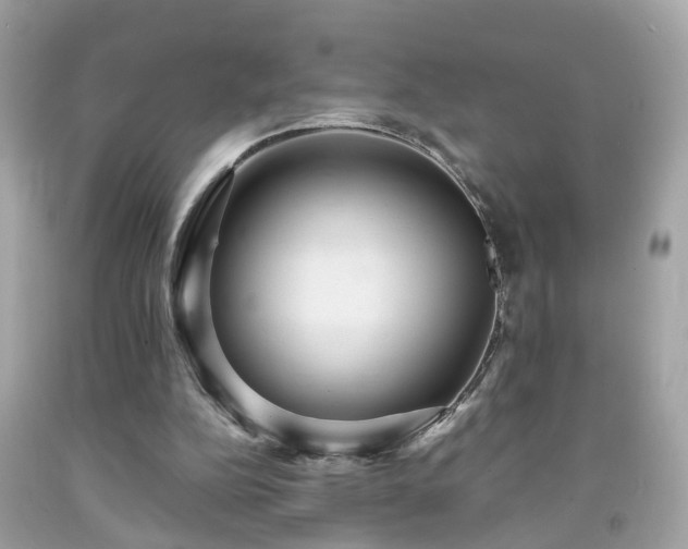 X0000091960152200709131234