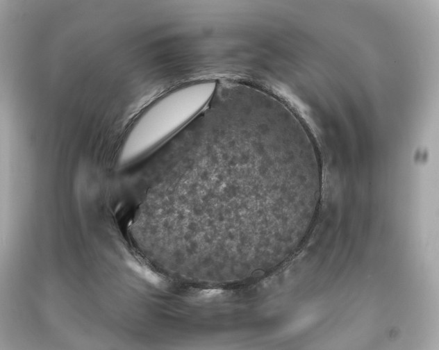 X0000091960153200709131234