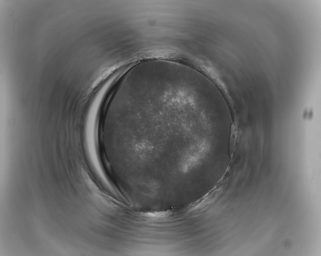 X0000091960154200709131234