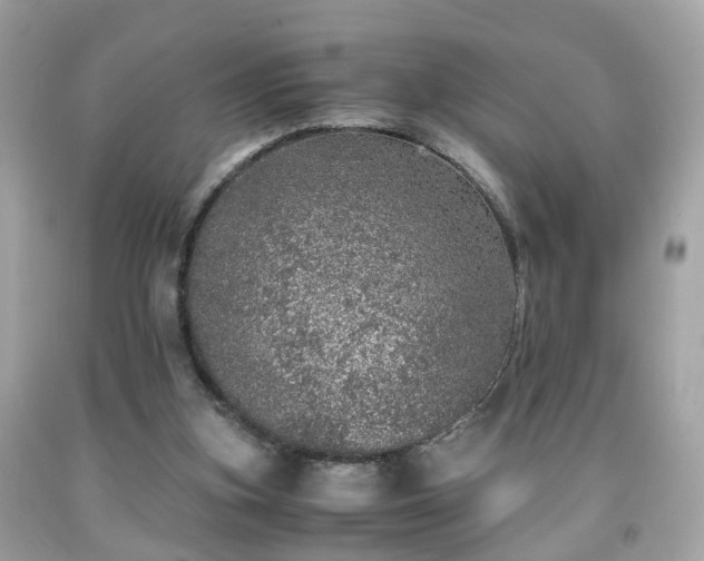 X0000091960155200709131234