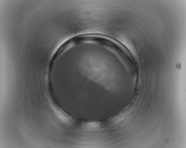 X0000091960156200709131234