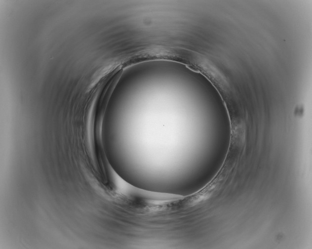 X0000091960158200709131234