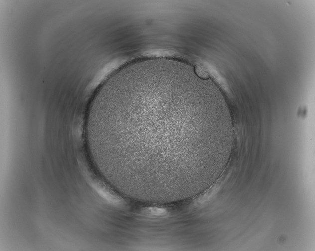 X0000091960159200709131234