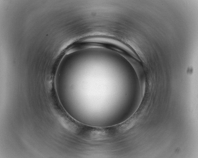 X0000091960160200709131234