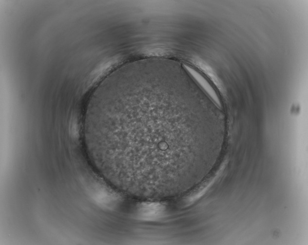 X0000091960161200709131234