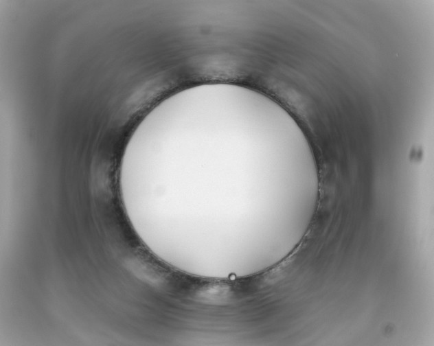 X0000091960162200709131234