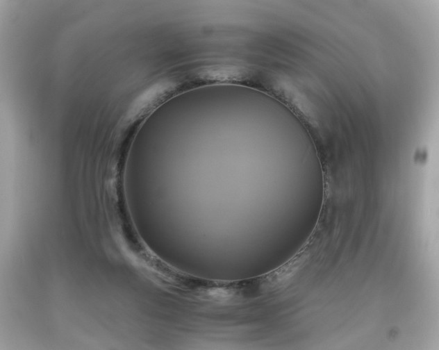 X0000091960163200709131234