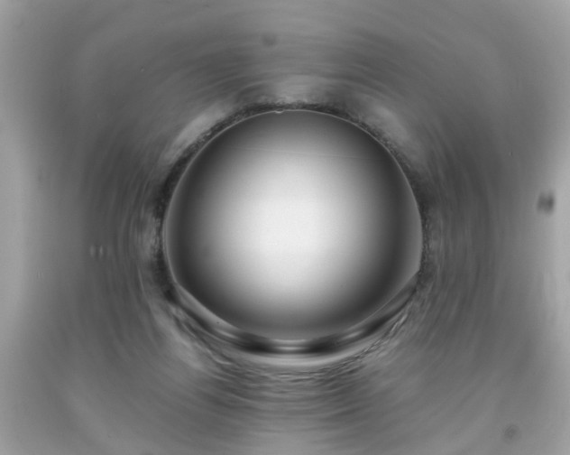 X0000091960164200709131234