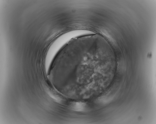 X0000091960165200709131234