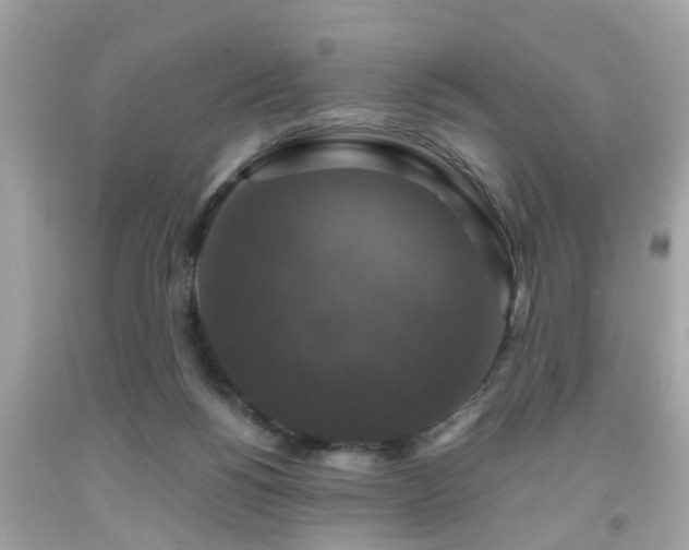 X0000091960168200709131234