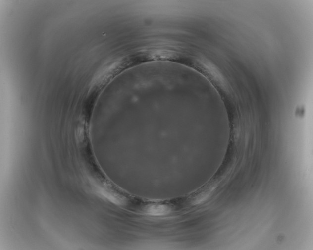 X0000091960169200709131234