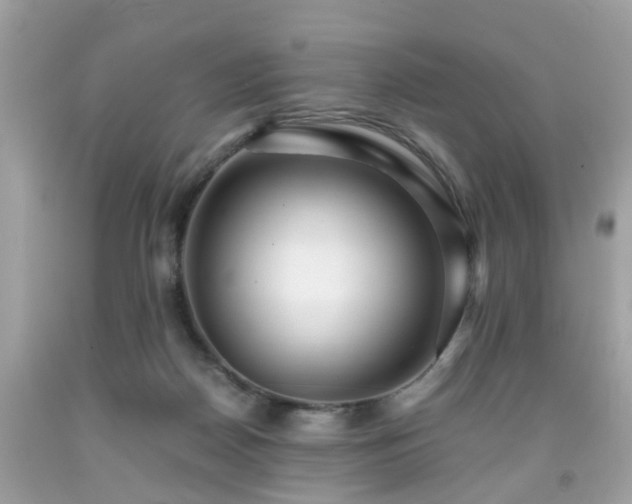 X0000091960170200709131234