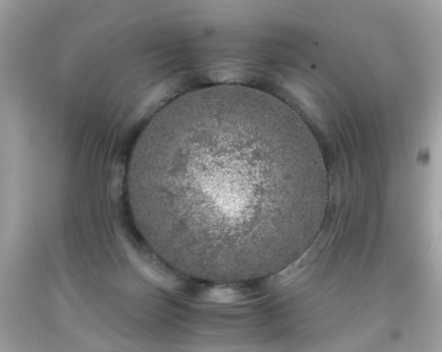 X0000091960171200709131234