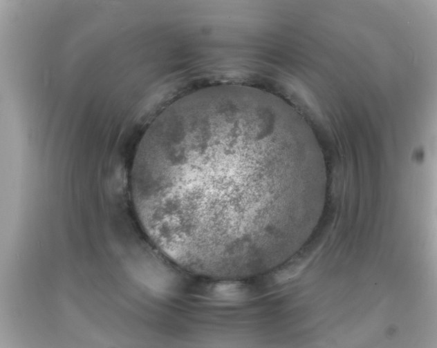 X0000091960173200709131234