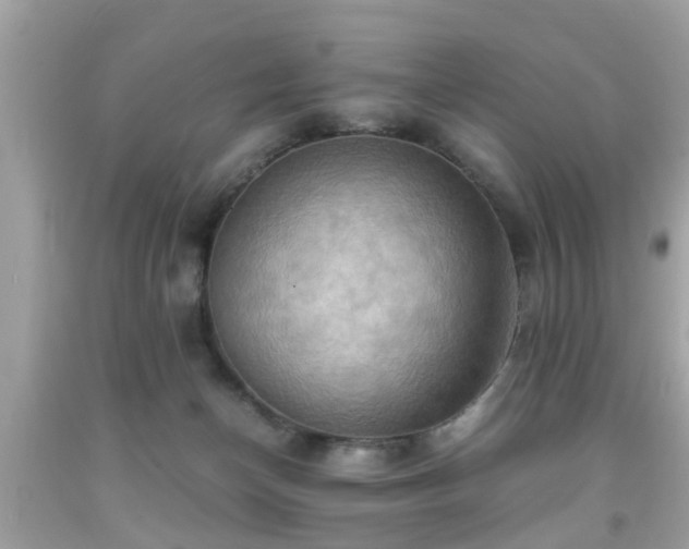 X0000091960174200709131234