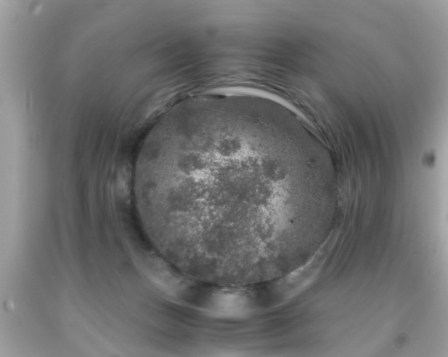 X0000091960175200709131234