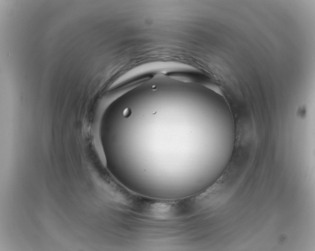 X0000091960176200709131234