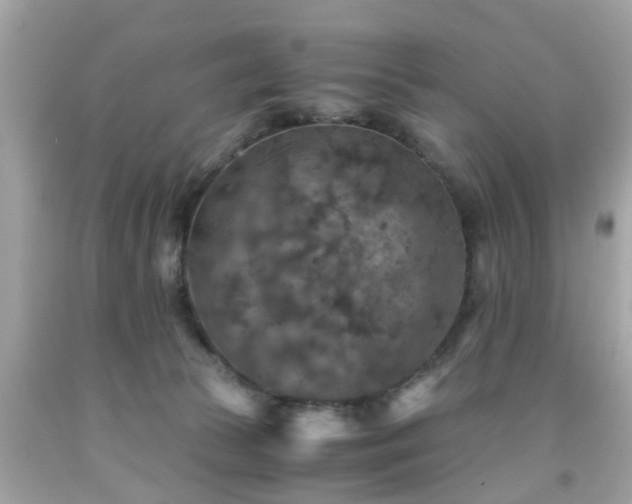 X0000091960177200709131234