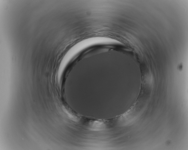 X0000091960180200709131234