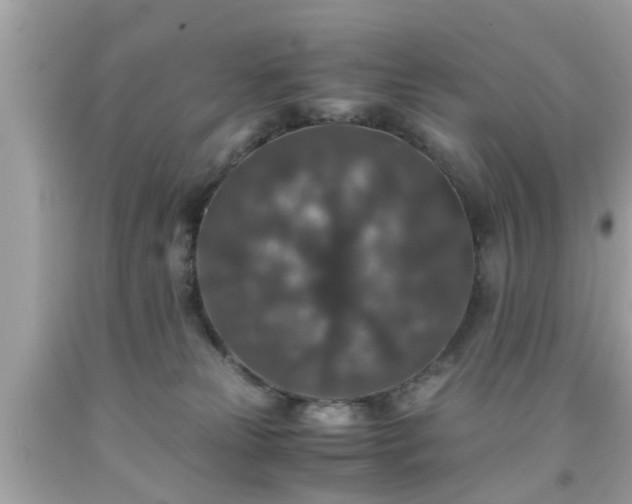 X0000091960181200709131234