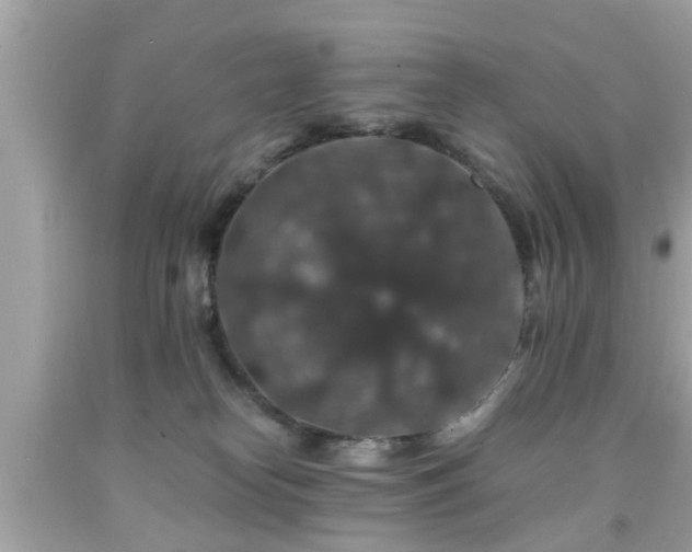 X0000091960182200709131234