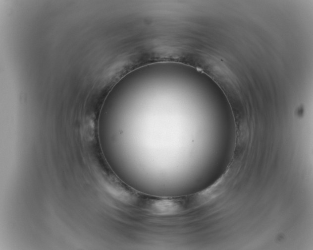 X0000091960183200709131234