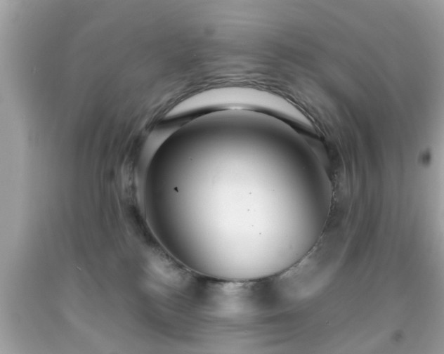 X0000091960184200709131234