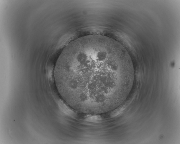 X0000091960185200709131234