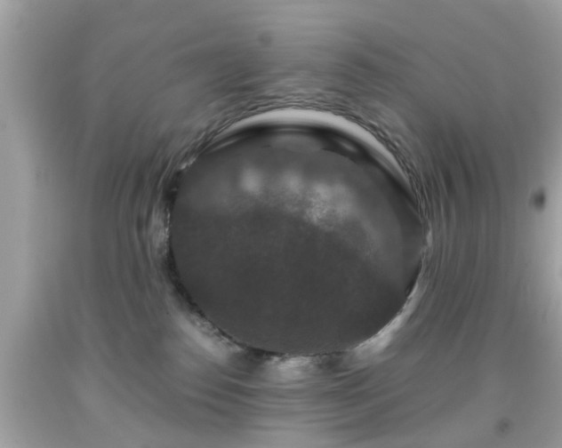 X0000091960186200709131234