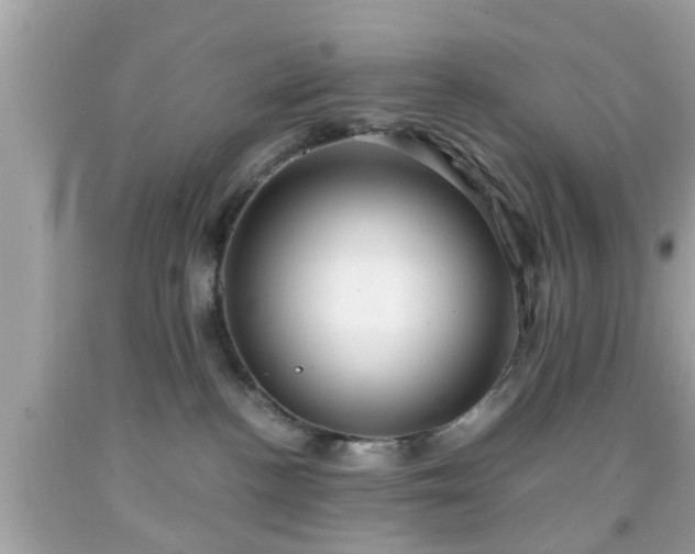 X0000091960188200709131234