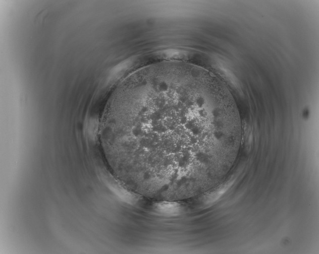 X0000091960189200709131234