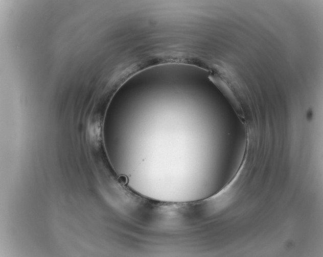 X0000091960190200709131234