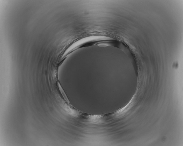 X0000091960192200709131234