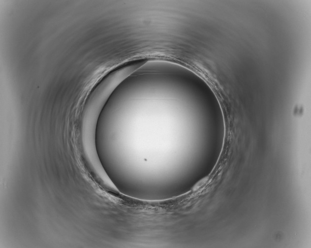 X0000091960193200709131234