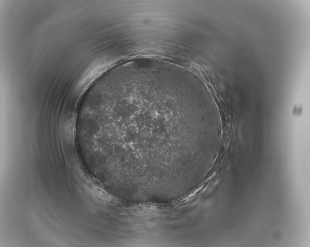 X0000091960194200709131234