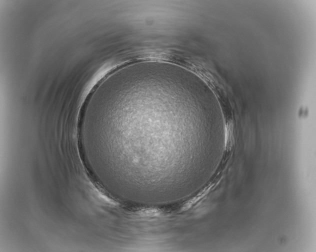 X0000091960195200709131234