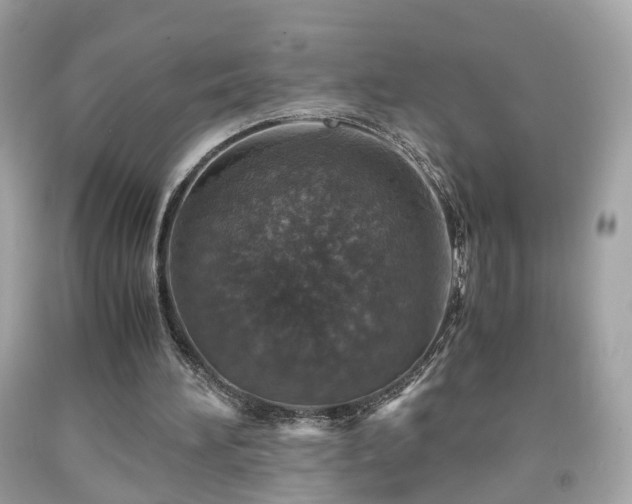 X0000091960196200709131234