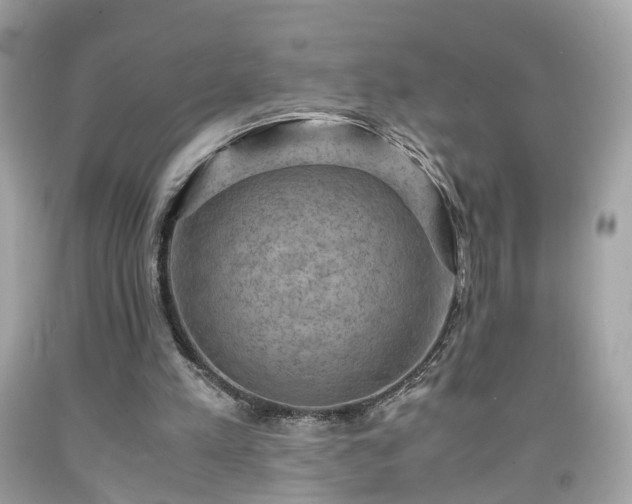 X0000091960197200709131234