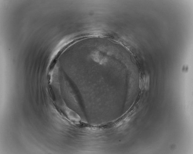 X0000091960198200709131234