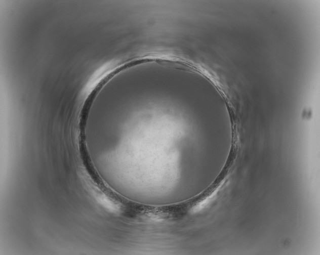 X0000091960199200709131233