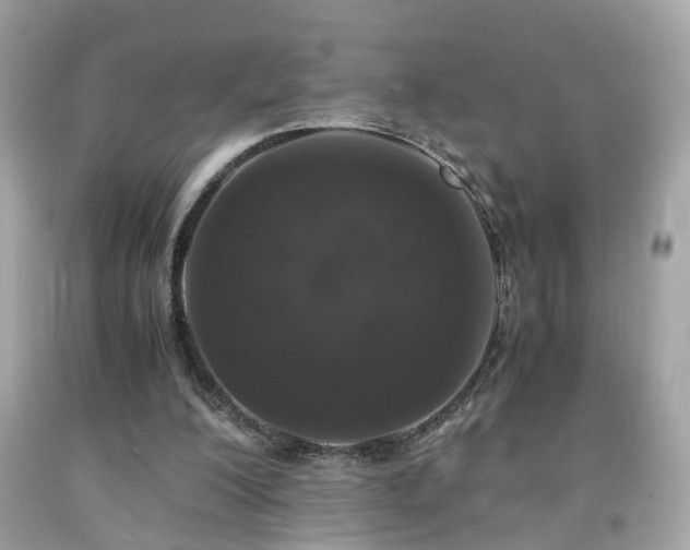 X0000091960200200709131233