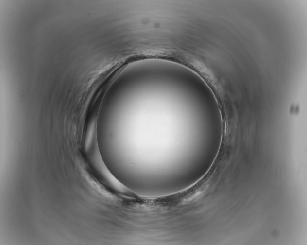 X0000091960201200709131233