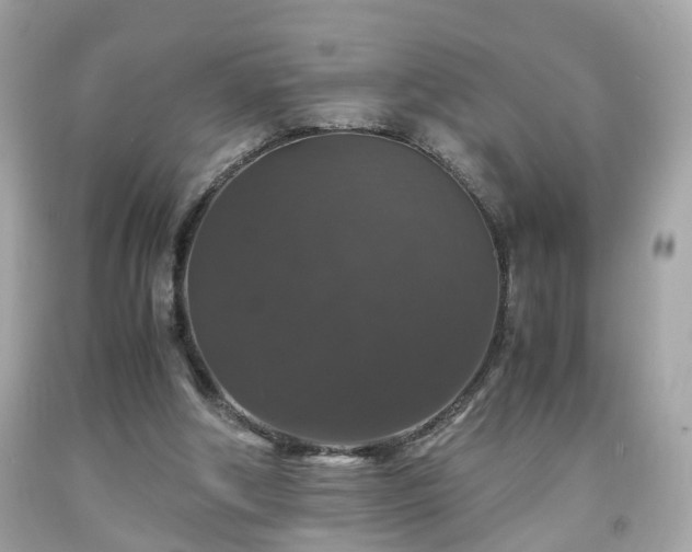 X0000091960202200709131233