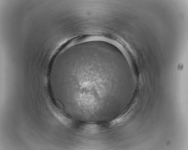 X0000091960203200709131233