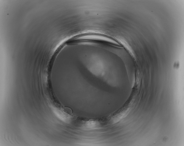 X0000091960204200709131233