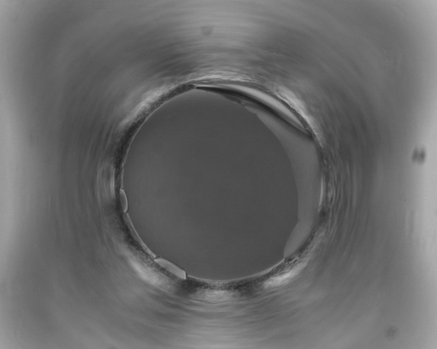 X0000091960205200709131233