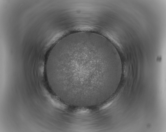 X0000091960206200709131233